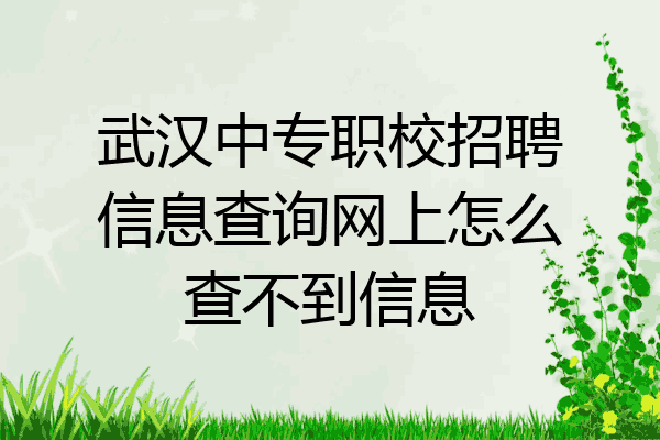 武汉中专职校招聘信息查询网上怎么查不到信息