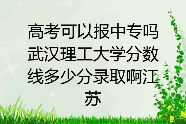 高考可以报中专吗武汉理工大学分数线多少分录取啊江苏