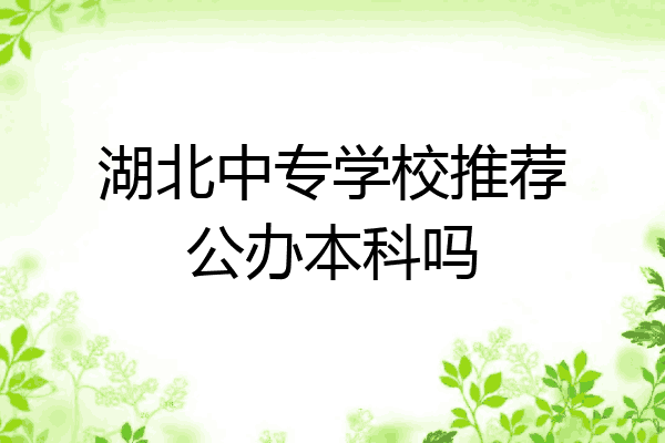 湖北中专学校推荐公办本科吗