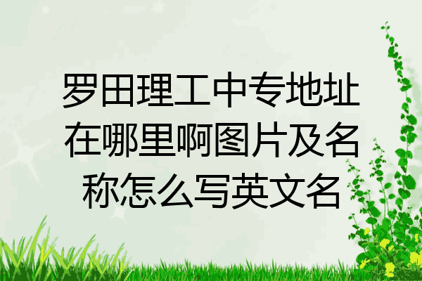 罗田理工中专地址在哪里啊图片及名称怎么写英文名