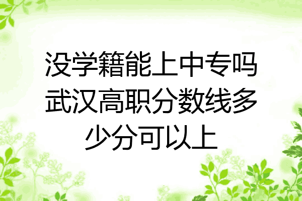 没学籍能上中专吗武汉高职分数线多少分可以上