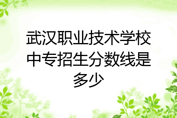 武汉职业技术学校中专招生分数线是多少