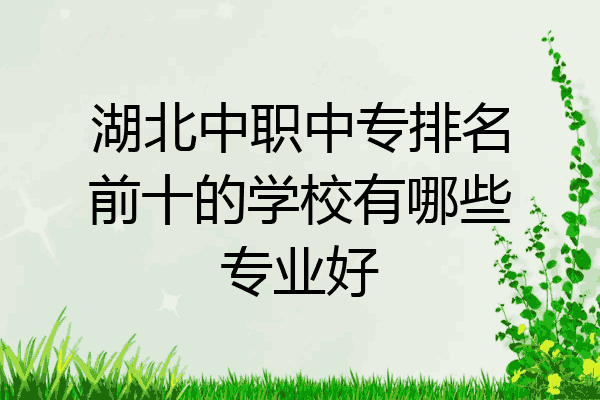 湖北中职中专排名前十的学校有哪些专业好