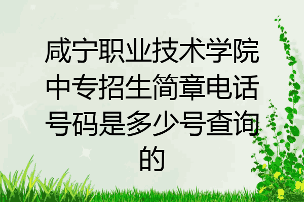 咸宁职业技术学院中专招生简章电话号码是多少号查询的