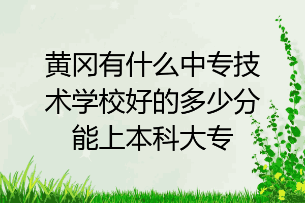 黄冈有什么中专技术学校好的多少分能上本科大专