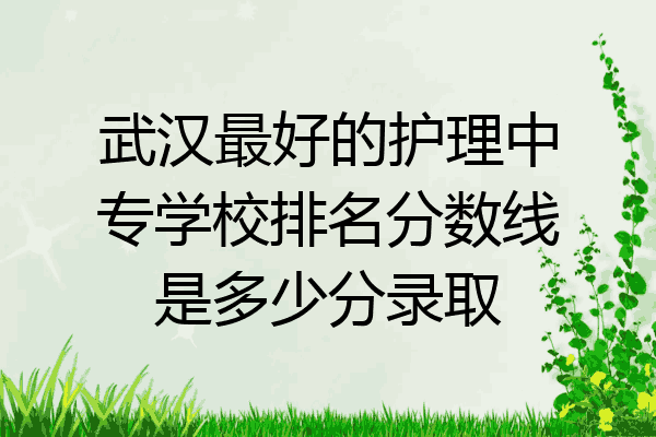 武汉最好的护理中专学校排名分数线是多少分录取