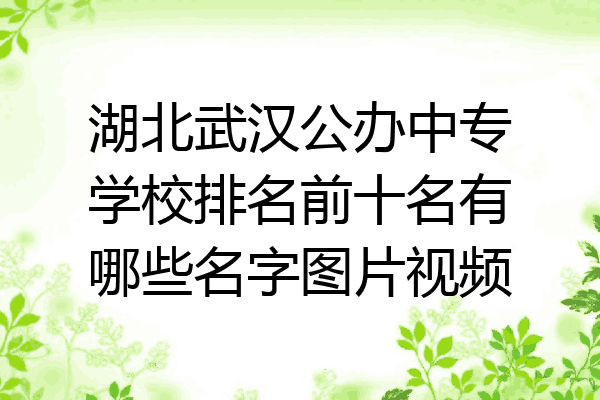 湖北武汉公办中专学校排名前十名有哪些名字图片视频