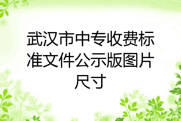 武汉市中专收费标准文件公示版图片尺寸