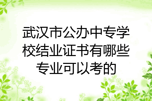 武汉市公办中专学校结业证书有哪些专业可以考的