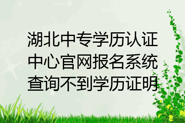 湖北中专学历认证中心官网报名系统查询不到学历证明