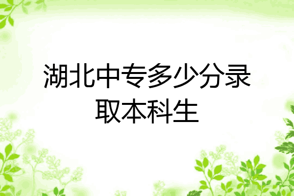 湖北中专多少分录取本科生