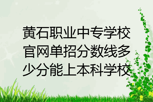 黄石职业中专学校官网单招分数线多少分能上本科学校