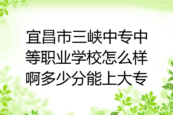 宜昌市三峡中专中等职业学校怎么样啊多少分能上大专