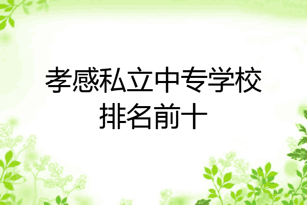 孝感私立中专学校排名前十