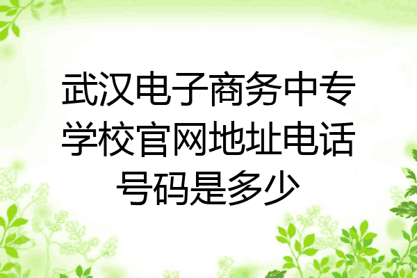 武汉电子商务中专学校官网地址电话号码是多少