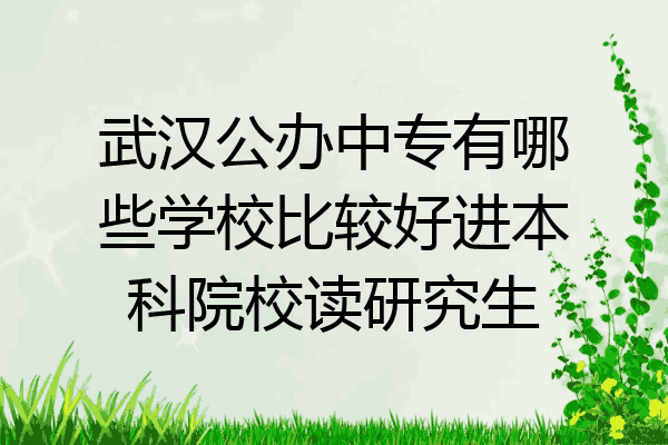 武汉公办中专有哪些学校比较好进本科院校读研究生