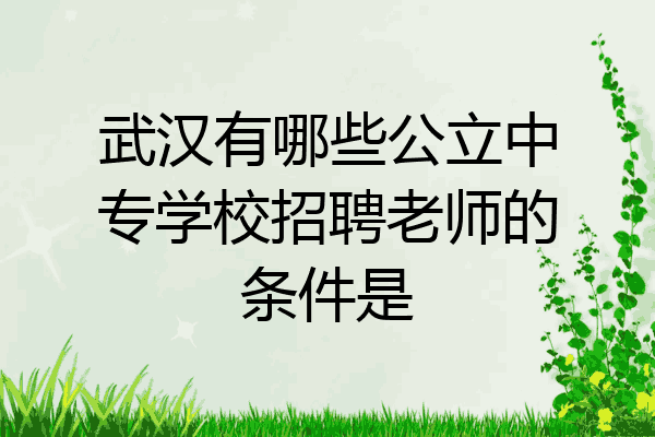 武汉有哪些公立中专学校招聘老师的条件是