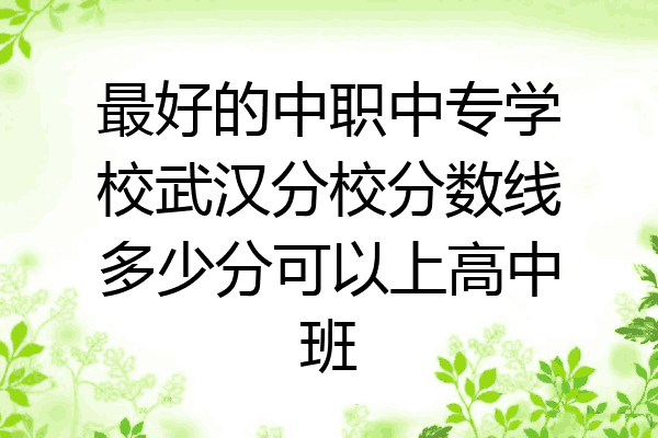 最好的中职中专学校武汉分校分数线多少分可以上高中班