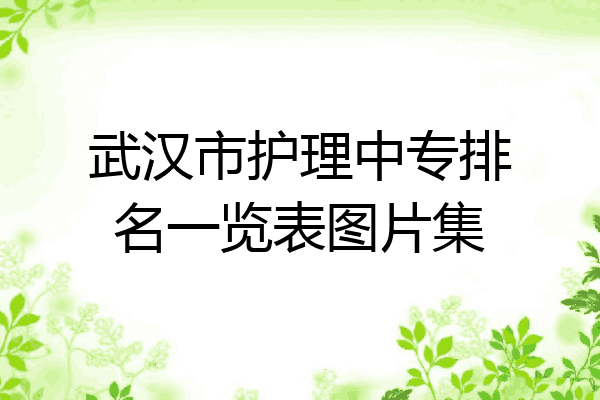 武汉市护理中专排名一览表图片集