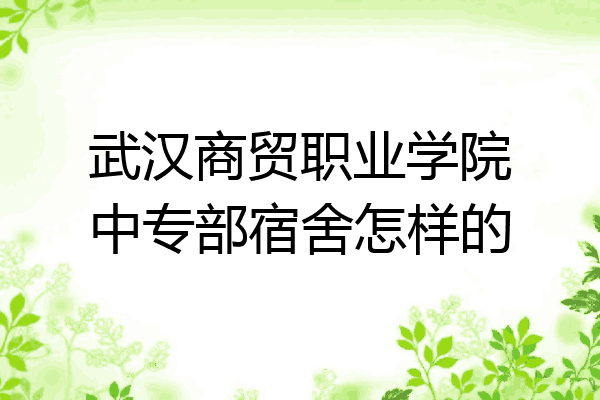武汉商贸职业学院中专部宿舍怎样的