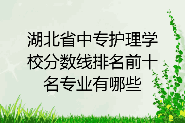 湖北省中专护理学校分数线排名前十名专业有哪些