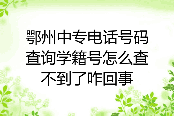 鄂州中专电话号码查询学籍号怎么查不到了咋回事