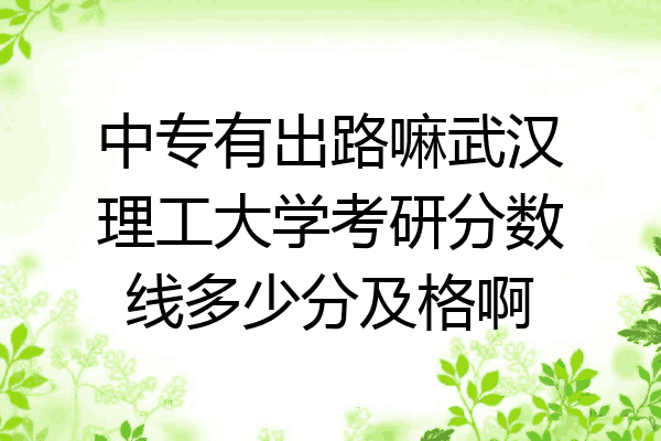 中专有出路嘛武汉理工大学考研分数线多少分及格啊