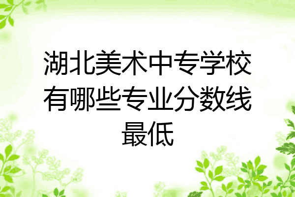湖北美术中专学校有哪些专业分数线最低