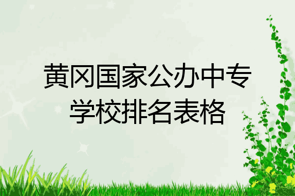 黄冈国家公办中专学校排名表格