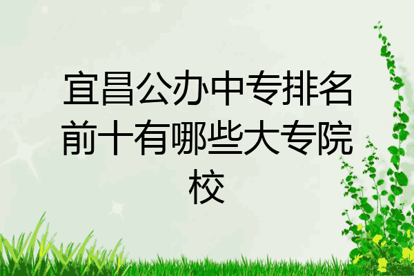 宜昌公办中专排名前十有哪些大专院校