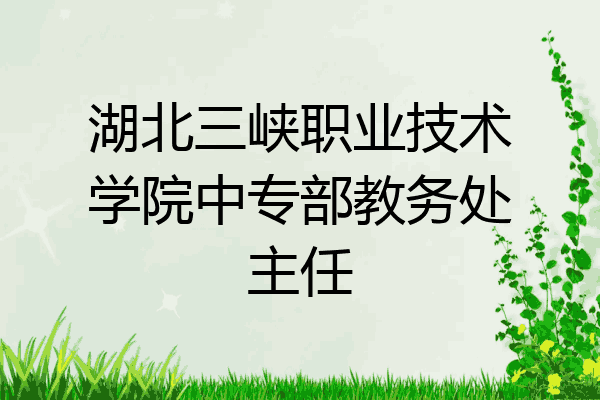 湖北三峡职业技术学院中专部教务处主任