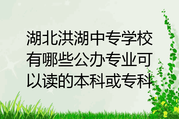 湖北洪湖中专学校有哪些公办专业可以读的本科或专科
