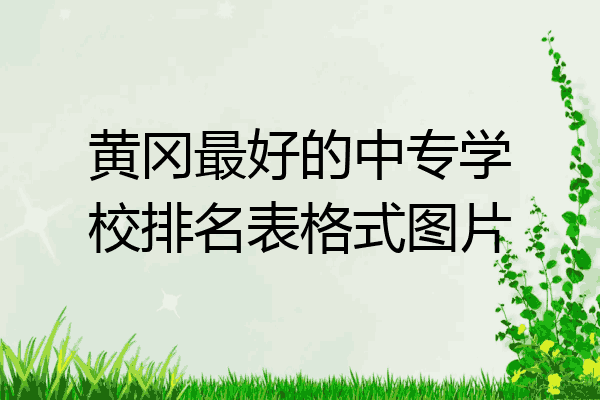 黄冈最好的中专学校排名表格式图片