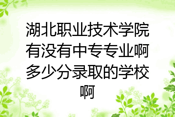 湖北职业技术学院有没有中专专业啊多少分录取的学校啊