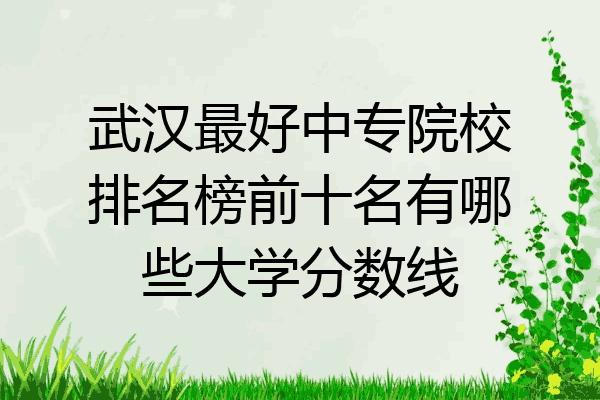 武汉最好中专院校排名榜前十名有哪些大学分数线