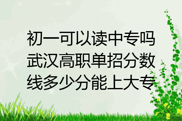 初一可以读中专吗武汉高职单招分数线多少分能上大专