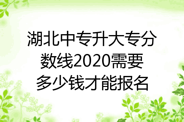湖北中专升大专分数线2020需要多少钱才能报名