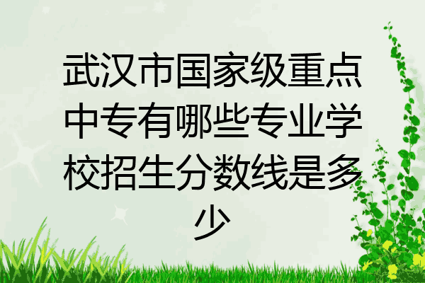 武汉市国家级重点中专有哪些专业学校招生分数线是多少