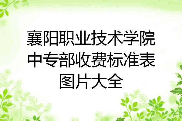 襄阳职业技术学院中专部收费标准表图片大全