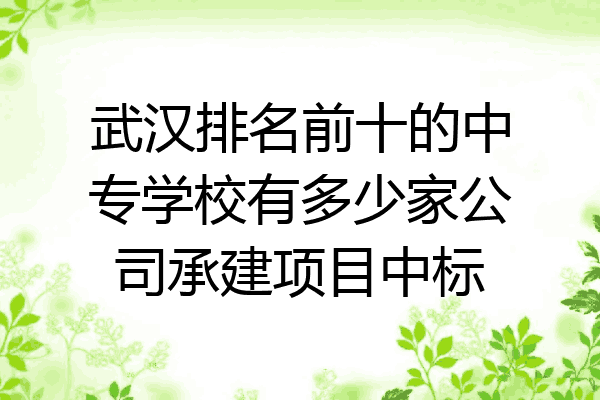武汉排名前十的中专学校有多少家公司承建项目中标