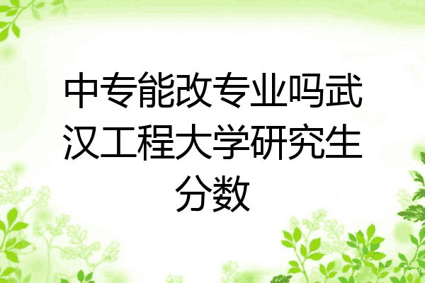 中专能改专业吗武汉工程大学研究生分数