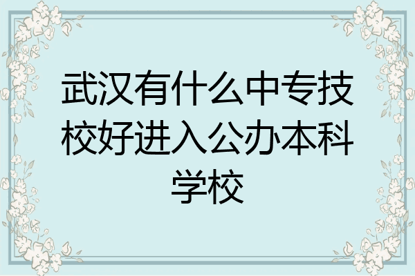 武汉有什么中专技校好进入公办本科学校