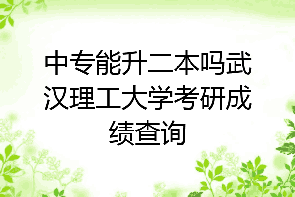 中专能升二本吗武汉理工大学考研成绩查询