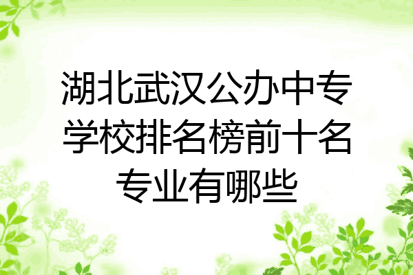 湖北武汉公办中专学校排名榜前十名专业有哪些