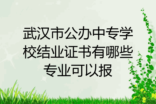 武汉市公办中专学校结业证书有哪些专业可以报