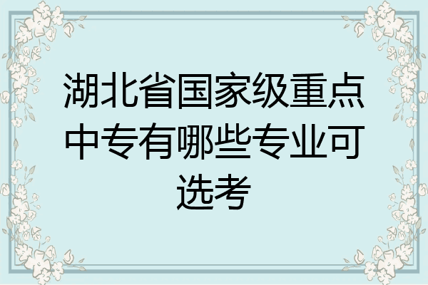 湖北省国家级重点中专有哪些专业可选考