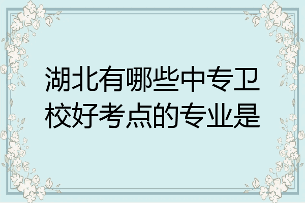 湖北有哪些中专卫校好考点的专业是