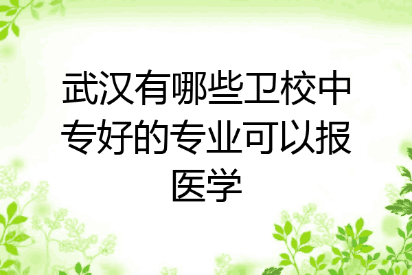 武汉有哪些卫校中专好的专业可以报医学