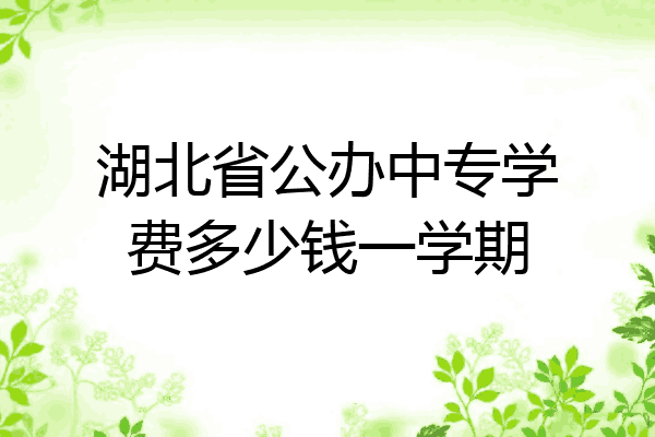 湖北省公办中专学费多少钱一学期