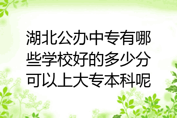 湖北公办中专有哪些学校好的多少分可以上大专本科呢